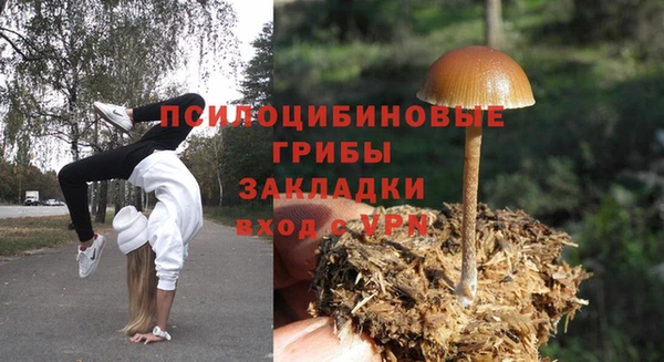 Альфа ПВП Алексеевка