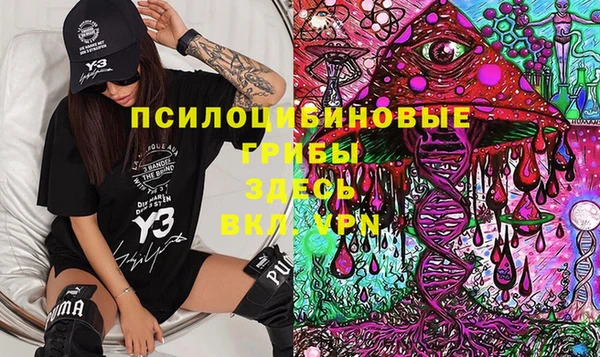 дживик Елабуга