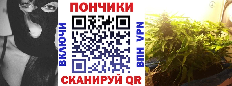 где купить наркоту  Межгорье  omg tor  МАРИХУАНА SATIVA & INDICA 